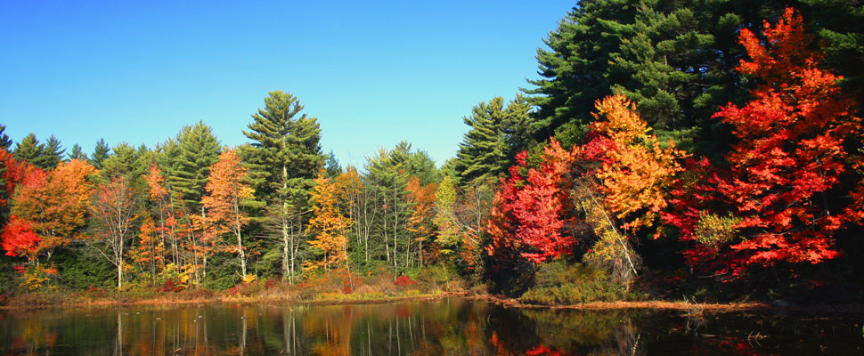 New England’s Fall Foliage