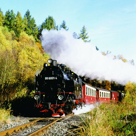 Harz Mountains & Rhine Gorge